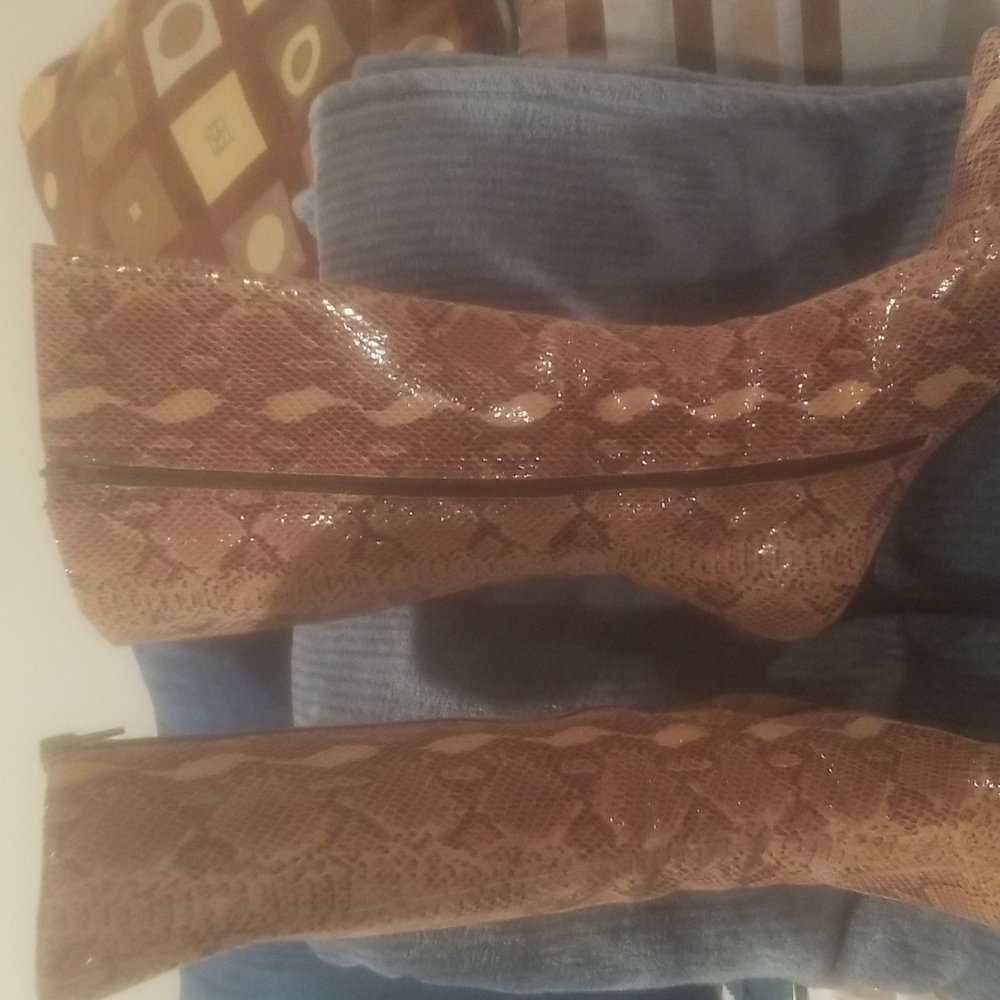Snakeskin Boots - Picture 4 of 15